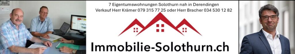 etw solothurn kaufen
